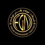 لوگوی فروشنده شرکت فولاد گستر نوشاد