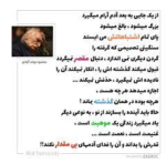 زندگی یک موهبت است، یک غنیمت است، یک نعمت است