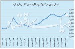 سمت و سوی بازار فولاد تا پایان سال چگونه خواهد بود؟