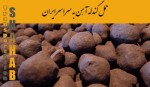 اعلام موجودی ارائه خدمات - تصویر 2