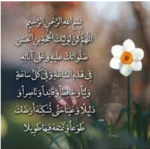 خوب است ما هم مثل باران حس بگیریم هر شب سراغی از گل نرگس بگیریم.