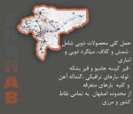 اعلام موجودی ارائه خدمات - تصویر 1