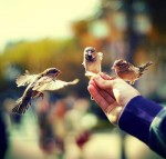 درود، صبح‌ بخیر با ما همراه‌ باشید با جدیدترین‌ اخبار لحظه‌ای 5 دی ماه ۱۴۰۱.