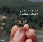 درود، صبح‌ بخیر با ما همراه‌ باشید با جدیدترین‌ اخبار لحظه‌ای 22 آذرماه 1401.