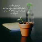 درود، با ما همراه باشید با جدید ترین اخبار لحظه‌ای 19 بهمن ماه 1401.