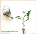 درود با ما همراه باشید با جدیدترین اخبار لحظه ای 15 اسفند ماه 1401