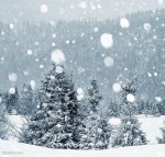 درود، صبح بخیر با ما همراه‌ باشید با جدید ترین اخبار لحظه‌ای 12دی ماه 1401.