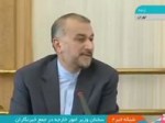 امیرعبداللهیان: اموال ما در کره جنوبی پنجشنبه گذشته به یک بانک اروپایی منتقل شد