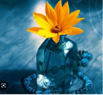 آرزو می ڪنم هر آنچه در این لحظه ها  از دلتان می گذرد به نسیم لطافتِ خداوند  بر شما روا گردد.