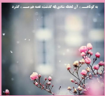 هر گلی در زمان خودش شکوفا میشه صبر داشته باش