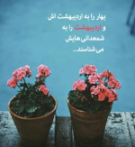 درود، با ما همراه باشید با جدیدترین اخبار لحظه ای 4 اردیبهشت ماه 1402.