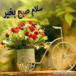 درود، با ما همراه باشید با جدیدترین اخبار لحظه ای 19 تیرماه 1402.