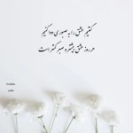 گفتیم عشق را به صبوری دوا کنیم هر روز عشق بیشتر و صبر کمتر است.