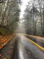 درود، با ما همراه‌ باشید با جدیدترین اخبار ۱۸ مهرماه ۱۴۰۲