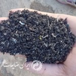 اعلام موجودی سایر - تصویر 1