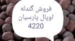 گندله اوپال پارسیان - تصویر 1