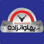 امیر پهلوانزاده