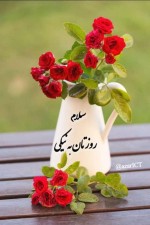 لوگوی فروشنده گلستانی