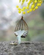 درود، با ما همراه باشید با جدیدترین اخبار لحظه ای 25 خردادماه 1402.