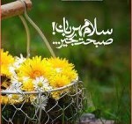 درود، با ما همراه باشید با جدیدترین اخبار لحظه‌ای 2 شهریور ماه 1402