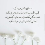 سه قانون خوشبختی.