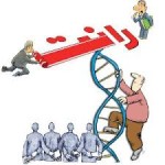 توزیع رانت های کلان در اقتصاد با قیمت گذاری دستوری.