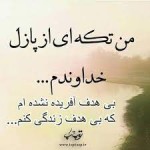 هـدف از زندگی فـقـط شاد بودن نیست، بلکه مفید بودن، شرافتمند بودن، دلسوز و غمخوار بودن است.