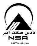 نادین صنعت امیر