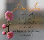 درود ، با ما همراه باشید با جدیدترین اخبار لحظه ای 20 تیرماه 1402.