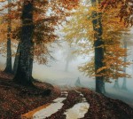 درود، صبح‌ بخیر با ما همراه‌ باشید با جدیدترین‌ اخبار لحظه‌ای 23 آذرماه 1401.