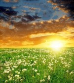 درود، با ما همراه باشید با جدید ترین اخبار لحظه‌ای4 اسفند ماه 1401.