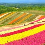 درود، با ما همراه باشید با جدیدترین اخبار لحظه ای 24 اردیبهشت ماه 1402.