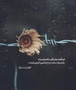 درود، با ما همراه باشید با جدیدترین اخبار لحظه ای 11 خردادماه 1402.