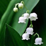 درود، با ما همراه باشید با جدیدترین اخبار لحظه ای 24 خردادماه 1402.