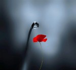 درود، با ما همراه باشید با جدیدترین اخبار لحظه ای 29خردادماه 1402.