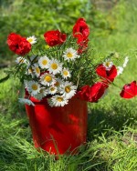 درود، با ما همراه باشید با جدیدترین اخبار لحظه ای 10 تیرماه 1402.