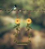 درود، با ما همراه باشید با جدیدترین اخبار لحظه ای 18 تیرماه 1402.