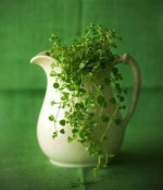 درود، با ما همراه باشید با جدیدترین اخبار لحظه‌ای 16 مهرماه 1402