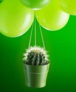 درود، با ما همراه باشید با جدیدترین اخبار لحظه‌ای 23 مردادماه 1402