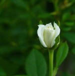 درود، با ما همراه باشید با جدیدترین اخبار لحظه‌ای 11 مردادماه 1402