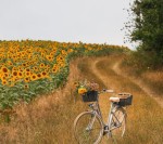 درود، با ما همراه باشید با جدیدترین اخبار لحظه‌ای 19 مردادماه 1402