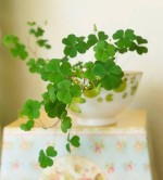 درود، با ما همراه باشید با جدیدترین اخبار لحظه‌ای 5 شهریورماه 1402