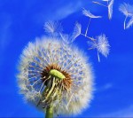 درود، با ما همراه باشید با جدیدترین اخبار لحظه‌ای 7 شهریورماه 1402