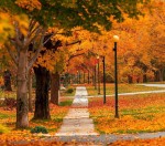 درود، با ما همراه باشید با جدیدترین اخبار لحظه ای 9 مهرماه 1402