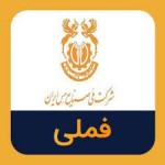 موازی‌کاری دولت با «فملی»