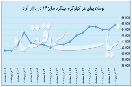 تراژدی بازار فولاد